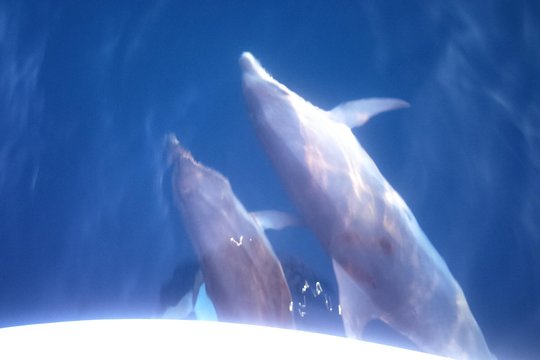 Tour image 3