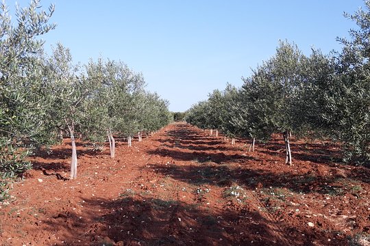 Tour image 1