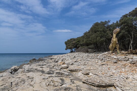 Tour image 14