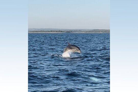 Tour image 14